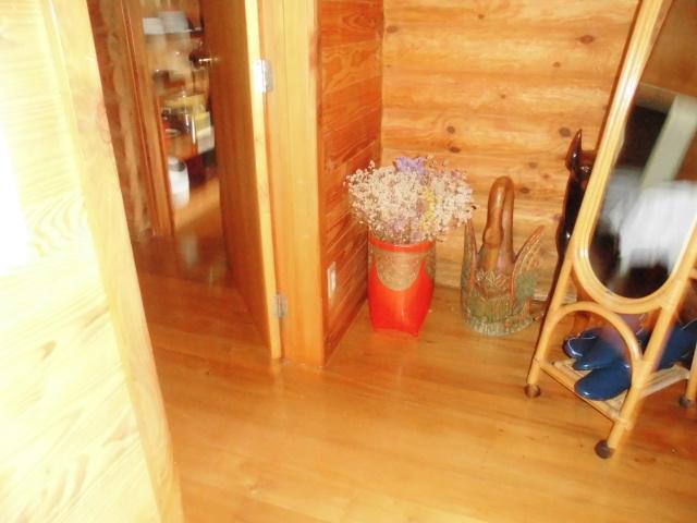 Log Cottage Villa Happo Hakuba Eksteriør billede